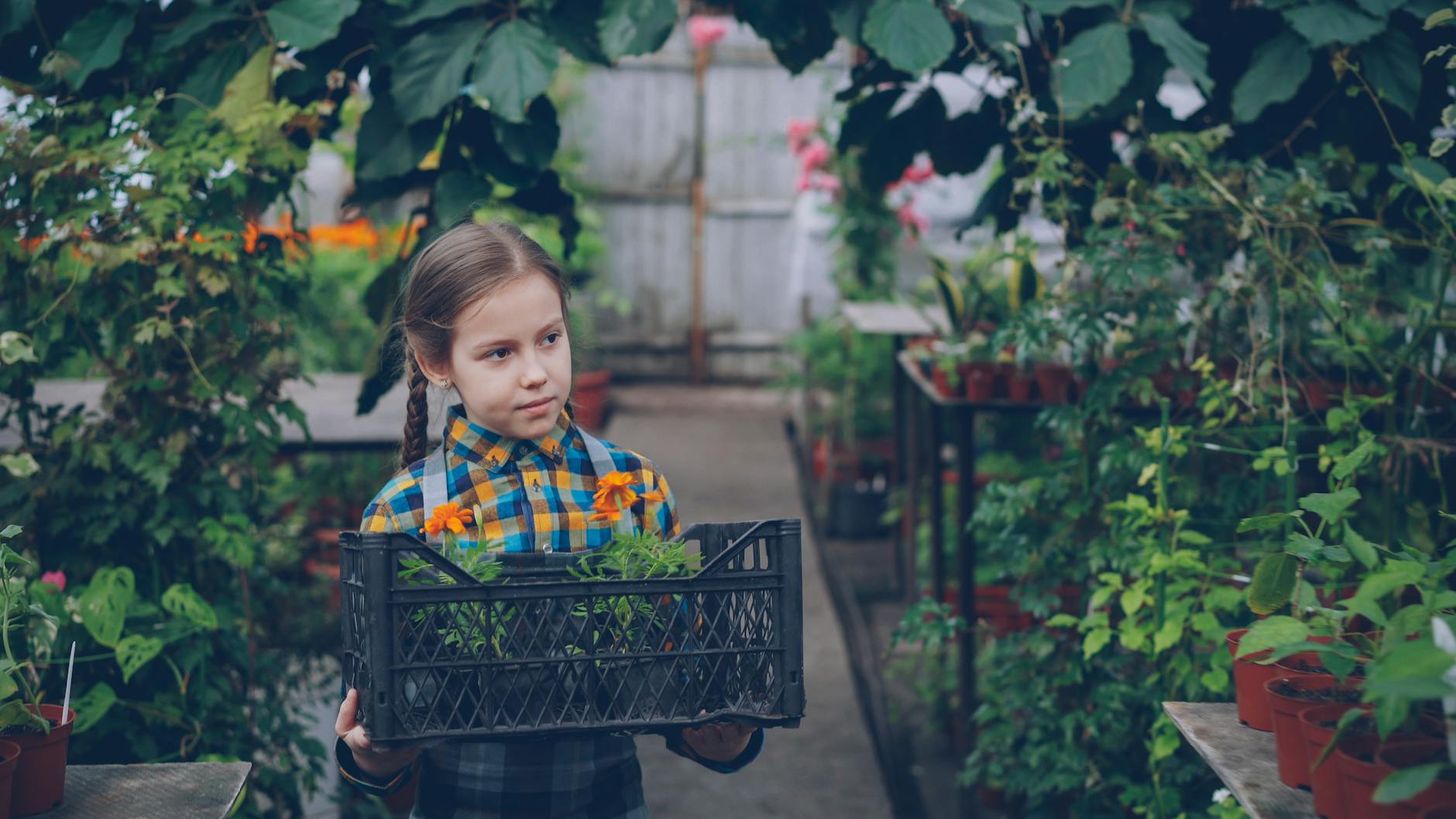 Choosing Child Maintenance: Private Arrangement vs CMS